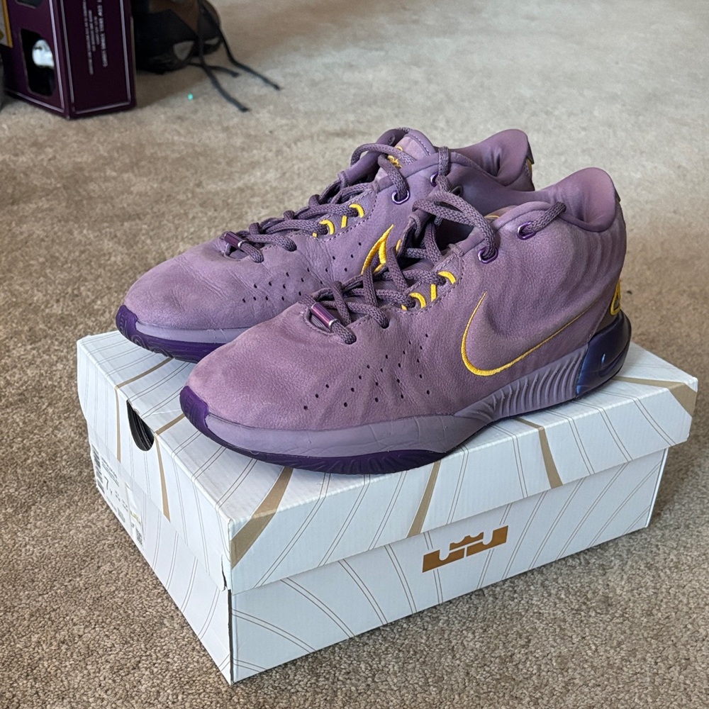 Lebron Basketball shoes